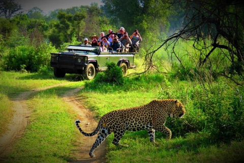 Pokhara: 3 Days Wildlife Jungle Safari Tour from Pokhara