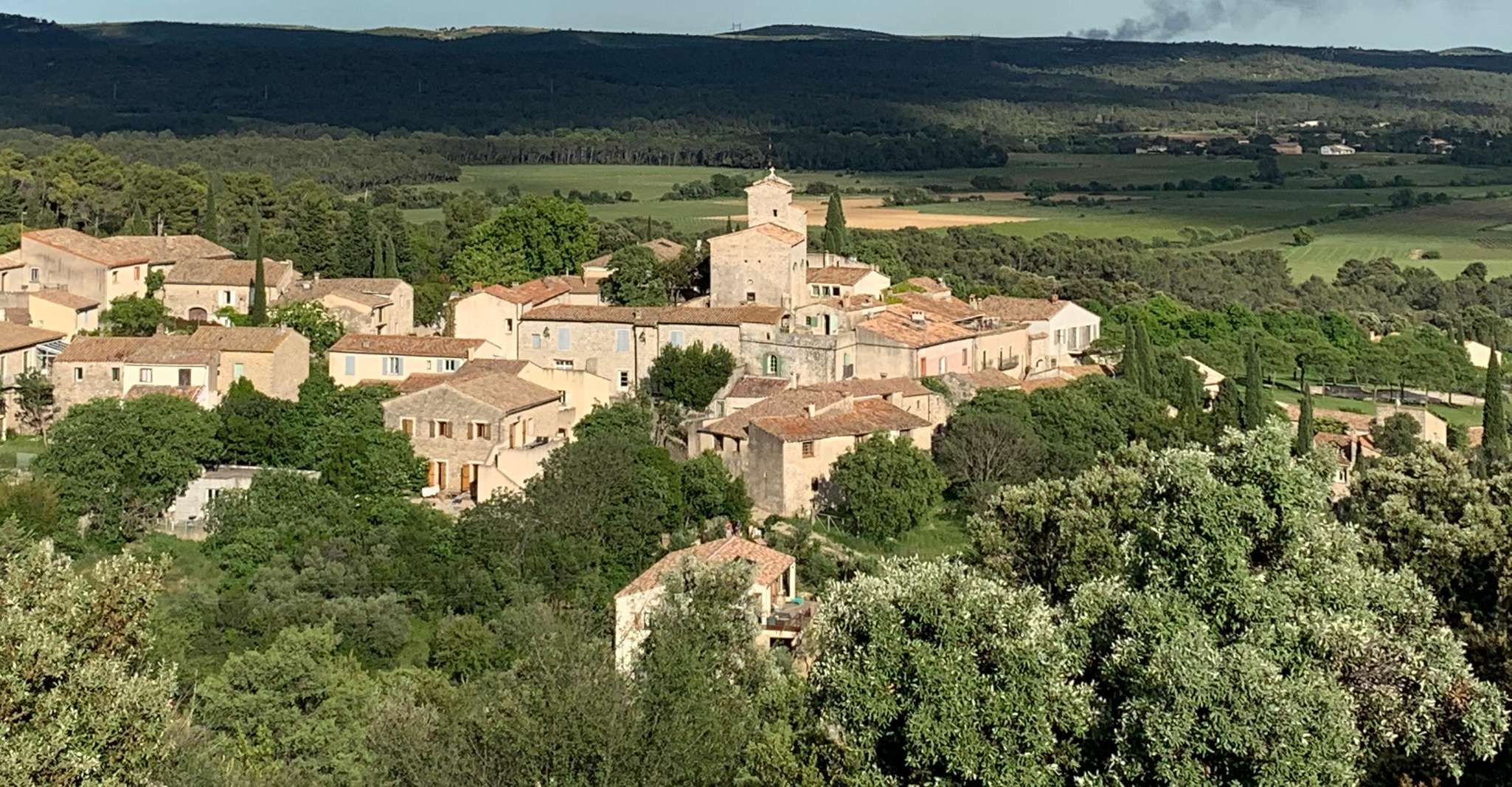 From Montpellier, Pic Saint-Loup Wine and Food Tour - Housity