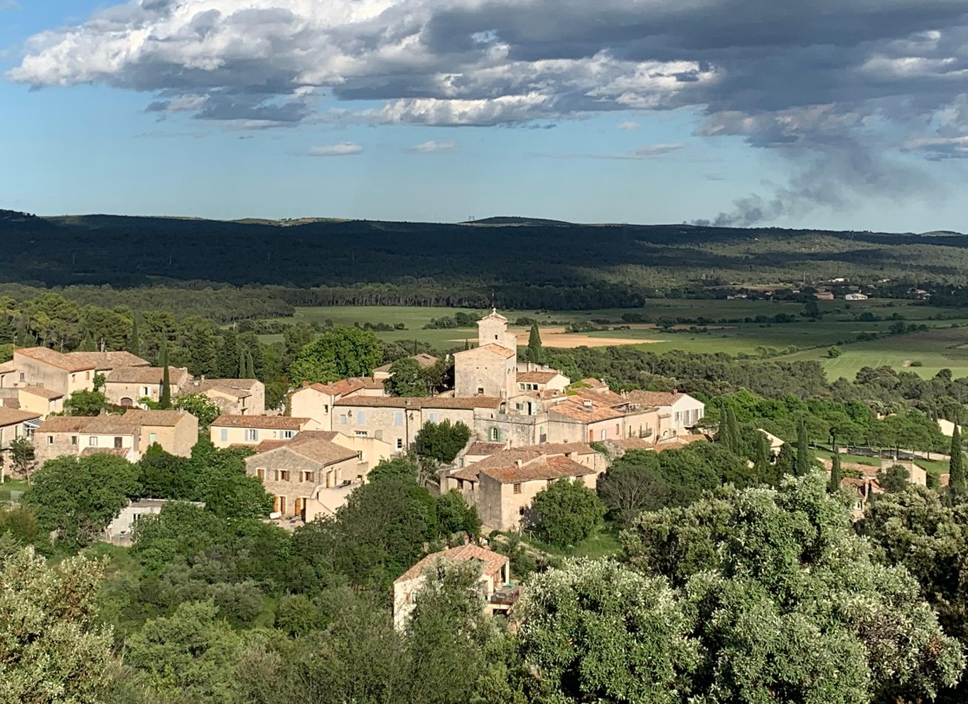 Fra Montpellier: Pic Saint-Loup vin- og madtur