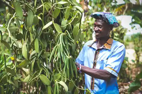Rubalika Safari Lodge and Farm: Guided Trail Tour with Lunch