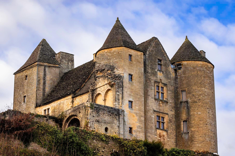 Salignac-Eyvigues: Entrance ticket to Château de Salignac Events