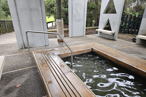 From Auckland: Lake Taupo and Rotorua Private Day Tour