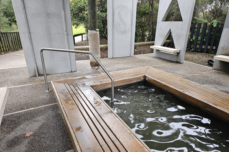 From Auckland: Lake Taupo and Rotorua Private Day Tour