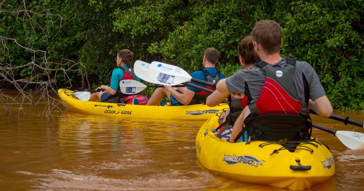 Uvita Parco Nazionale Marino Ballena Kayak da mare e snorkeling