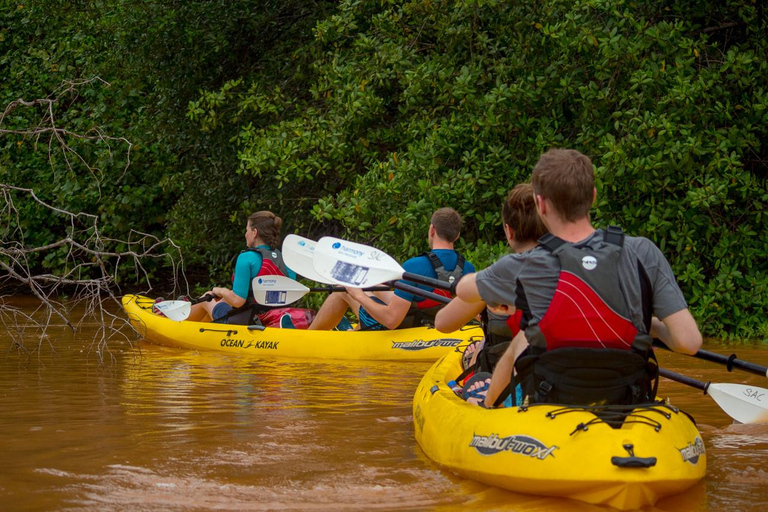 Uvita : Parc national Marino Ballena Kayak de mer et plongée en apnéeParc national Marino Ballena Kayak de mer et plongée en apnée