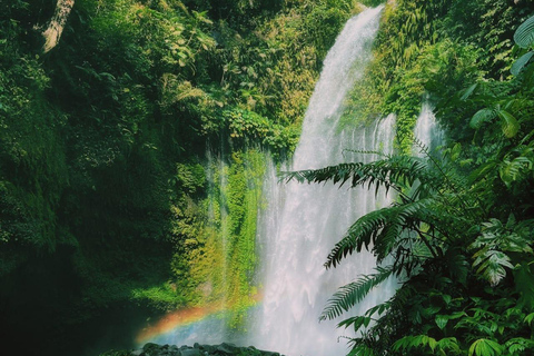 Tiu kelep Waterfalls, Selong Hill, & Pusuk Sembalun Day Trip