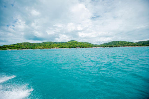 Koh Samui: Avvistamento dei delfini rosa e tour in motoscafo dell&#039;isola di Pig