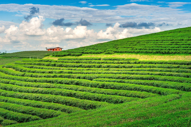 Munnar: Excursão de 5 dias com cruzeiro guiado