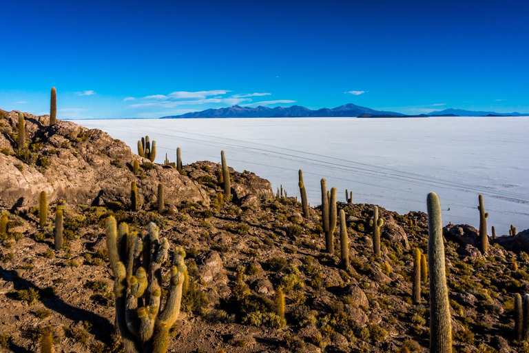 Visite à la journée des plaines de sel d&#039;Uyuni + coucher de soleil et déjeuner