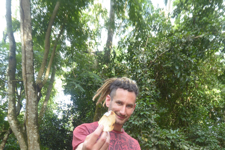 Zanzibar: The Swahili Spice Experience – wycieczka po przyprawach + kulinarna podróż"The Swahili Spice Experience" (z miejscem spotkania)