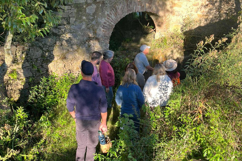 From Colonia: Trekking and Nature in Molino Artola with a Local Host