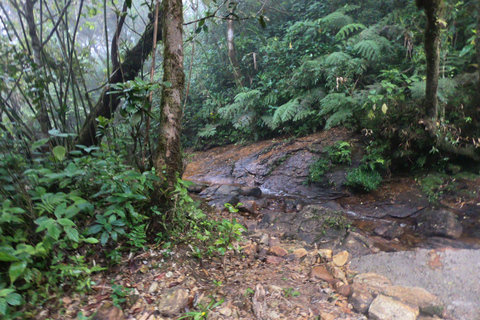 Kandy: Waterfalls and Local Village Day Tour with Lunch