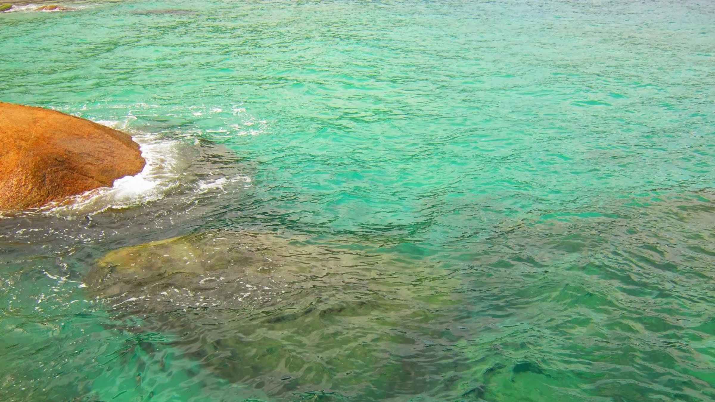 Ilha Grande: aventura de meio dia a explorar a Lagoa Azul/Verde6 horas4.2