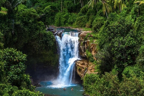 Bali - Circuit des chutes d'eau à couper le souffleVisite sans billet d'entrée