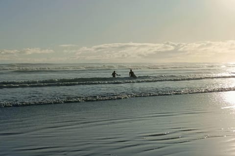 “City & Coast & Country” – A Relaxed Day Tour from Auckland - Image 2