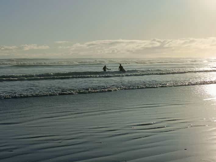 “City & Coast & Country” – A Relaxed Day Tour from Auckland