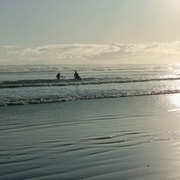 “City & Coast & Country” – A Relaxed Day Tour from Auckland “City & Coast & Country” – A Relaxed Day Tour from Auckland