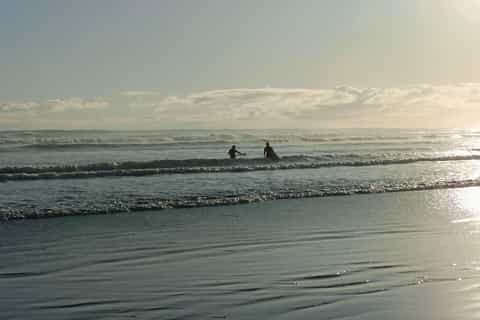 “City & Coast & Country” – A Relaxed Day Tour from Auckland - Image 3
