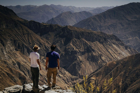 Colca Canyon Day Trip from Arequipa + Transfer to Puno