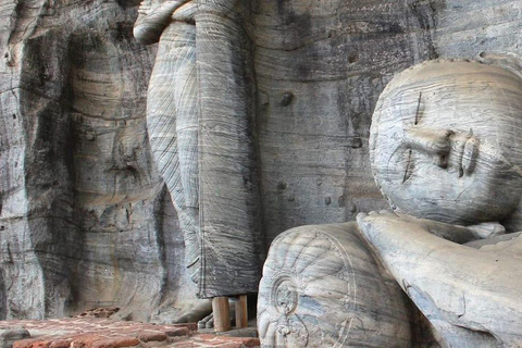 Pasikudah: Polonnaruwa Ancient city tour