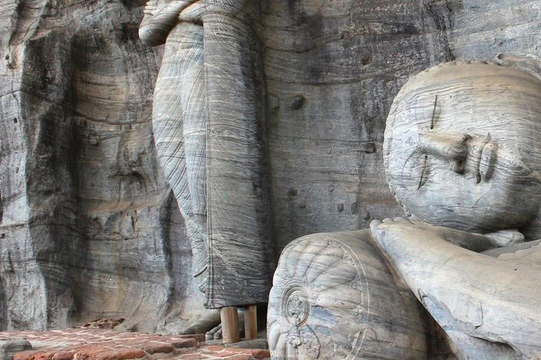 Pasikudah: Polonnaruwa Ancient city tour