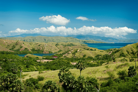 Eiland Komodo: 3-daagse privétour met boot & hotelAvontuur zonder vluchten