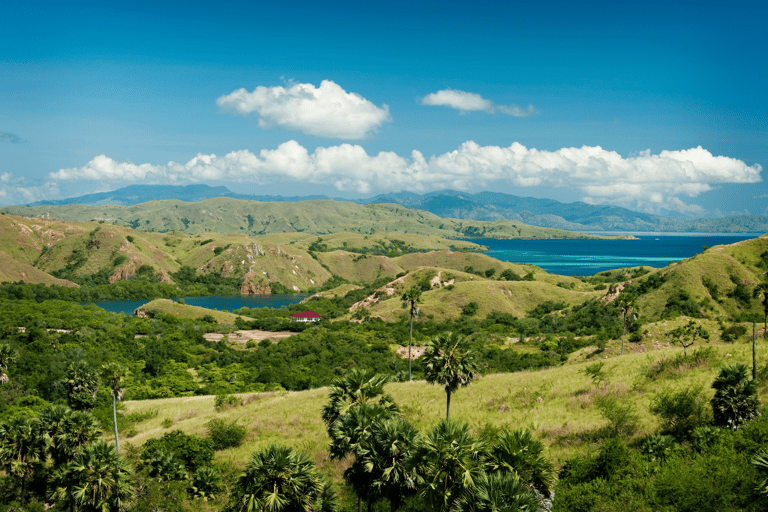 Eiland Komodo: 3-daagse privétour met boot & hotelAvontuur zonder vluchten