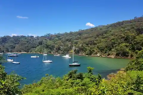Sydney: Taronga to Balmoral hike with Picnic and painting