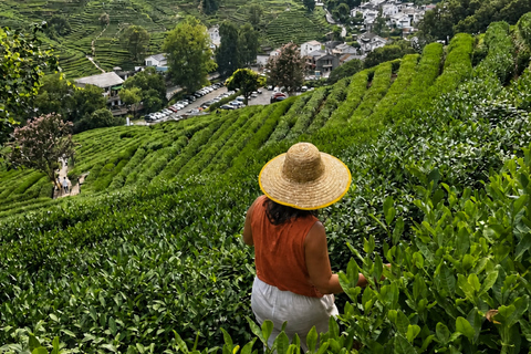 Hangzhou: Longjing Tea Workshop – Shared or Private VIP All-Inclusive Private VIP Tea Workshop