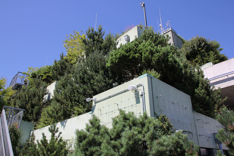 Hambourg : visite du « bunker vert » de St. Pauli - au-dessus des toits de HambourgHambourg : visite guidée du « bunker vert » de St. Pauli - au-dessus des toits de Hambourg