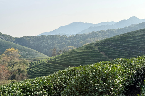 Hangzhou: From Leaf to Cup, Pick, Pan-Fry & Whisk Tea