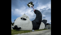Un viaggio diverso in Cina, Sichuan 10 giorni 10 notti - Housity