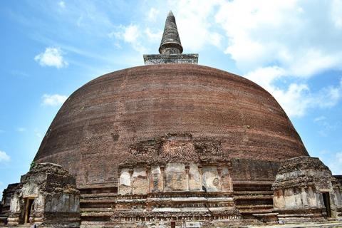 Sigiriya: Rock Hike, Elephant Safari & Polonnaruwa City Tour