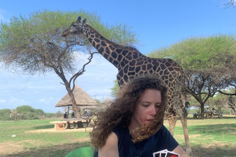 Mombasa: begeleide natuurwandeling tussen giraffen