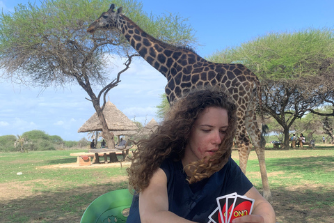 Mombasa : Promenade guidée dans la nature au milieu des girafes