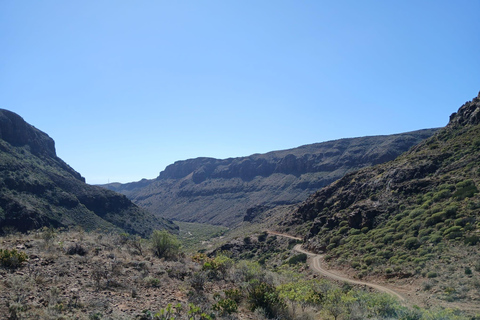 Maspalomas-fataga-ayagaures by e-bike through ravines