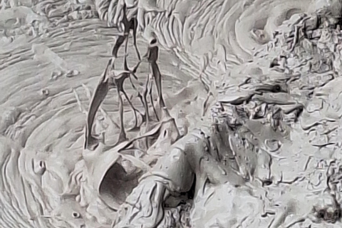 Tauranga: Wai-o-Tapu with Redwood Forest Walk or Forest Spa