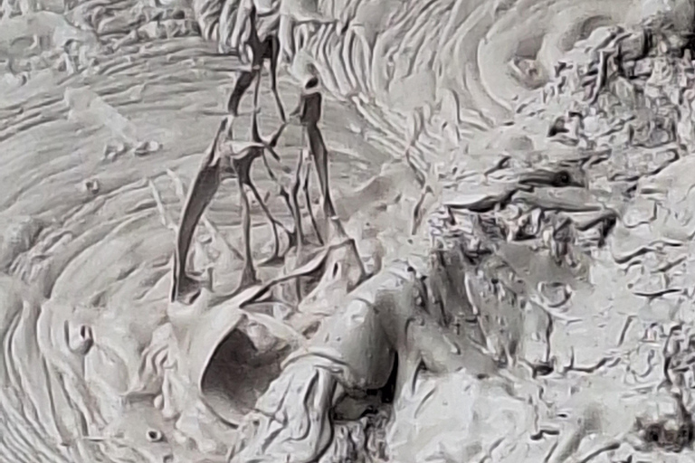 Tauranga: Wai-o-Tapu with Redwood Forest Walk or Forest Spa