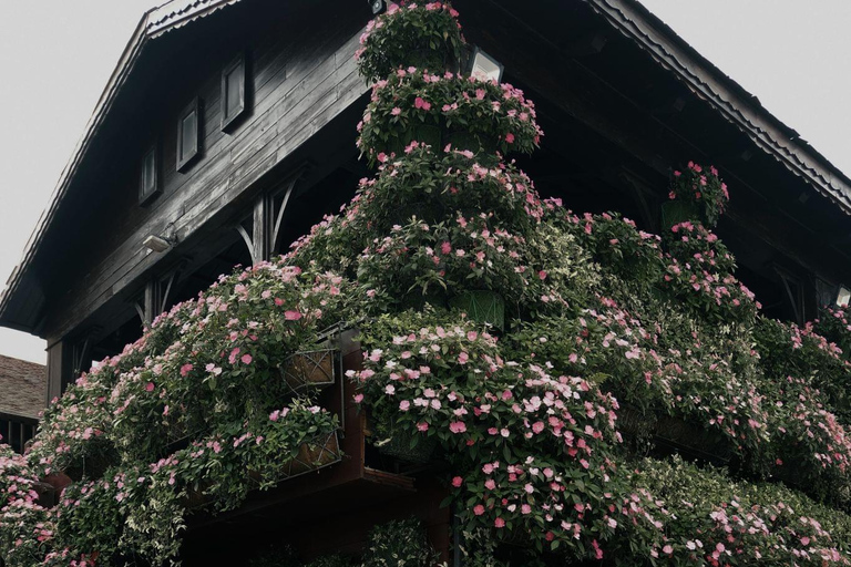 Da Nang: Ba Na Hills und Goldene Brücke Private Tagestour