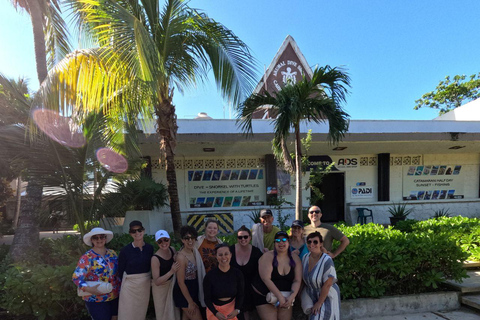 Riviera Maya: Nado con Tortugas, Cenote y Almuerzo mexicano. Riviera Maya:Nado con Tortugas, 3 Cenotes, Almuerzo Mexicano