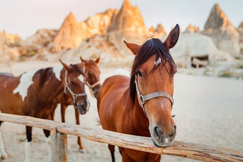 Cappadoce : Randonnée à cheval avec option lever et coucher de soleilRandonnée équestre au lever du soleil