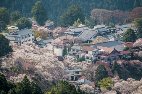 Nara World Heritage: Asuka E-Bike & Megalith Cycling Tour