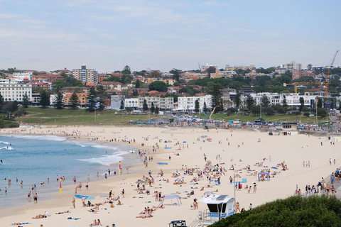 Sydney: Morgens Sightseeing Bus nach Bondi mit Lunch Cruise