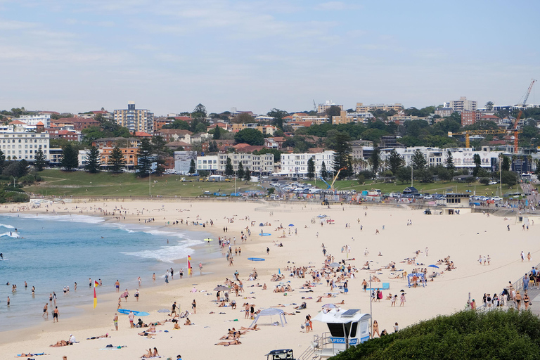 Sydney: Morgens Sightseeing Bus nach Bondi mit Lunch Cruise