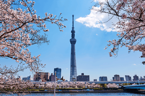 Japonia: 7-dniowa wycieczka z przewodnikiem z zakwaterowaniem w hotelu