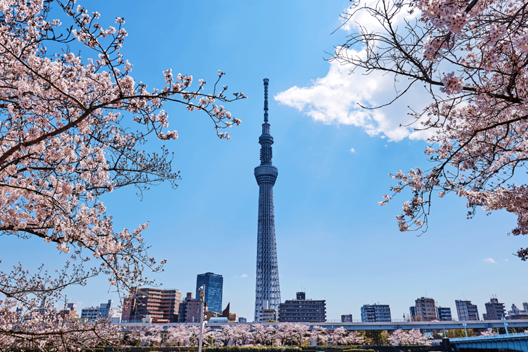 Japan: 7-tägige geführte Tour mit Hotelunterkunft