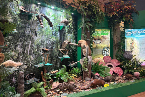 Sabah : Visita a la ciudad de Kota Kinabalu con comida/cenaKota Kinabalu: Visita a la ciudad de Kota Kinabalu