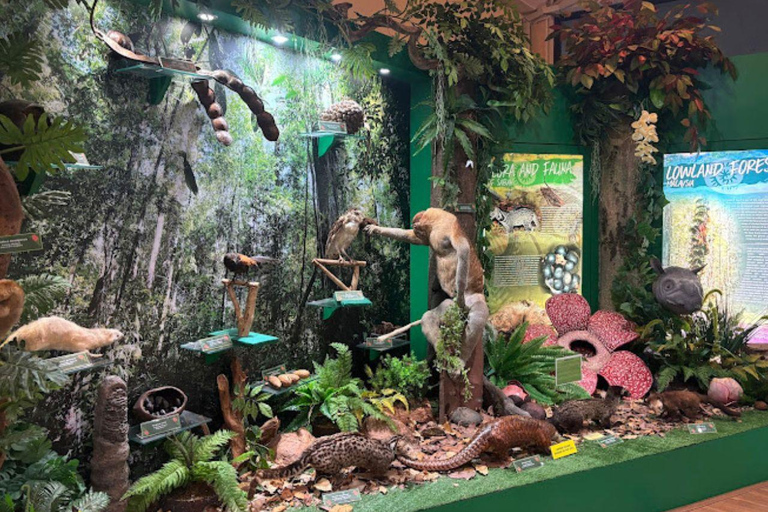 Sabah : Visita a la ciudad de Kota Kinabalu con comida/cenaKota Kinabalu: Visita a la ciudad de Kota Kinabalu