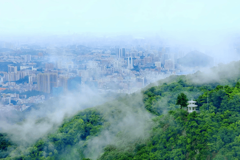 Guangzhou: tour privato della città con pranzo dim sum