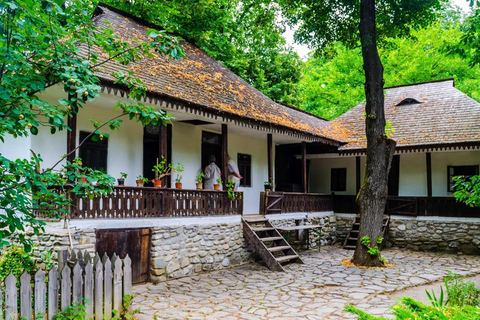 Bucharest Tour: Parliament, Ceausescu House & Village Museum